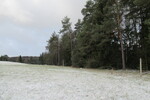 28.03.2023: am Wanderweg von Bad Brambach nach Brendorf