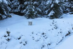 27.02.2016: am Kammweg Erzgebirge – Vogtland zwischen Carlsfeld und Mhlleithen