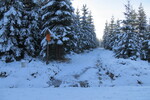 27.02.2016: am Kammweg Erzgebirge – Vogtland zwischen Carlsfeld und Mhlleithen