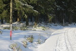 27.02.2016: am Kammweg Erzgebirge – Vogtland zwischen Carlsfeld und Mhlleithen