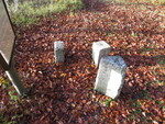 01.11.2014: Dreirainsteine bei Erlbach