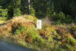 16.10.2016: deutscher Grenzstein am Hirschleckenweg