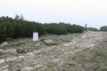 25.05.2017: am Kammweg zwischen Schneekoppe und Eulenpass