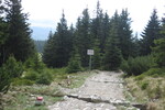 25.05.2017: am Kammweg zwischen Schneekoppe und Eulenpass