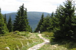 26.05.2017: zwischen Grenzbaudenpass und Tafelstein; Blick auf den Pass