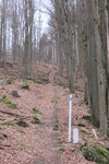 01.04.2024: am Grenzweg bei Furth im Wald