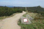 10.05.2024: Grenzmarkierung am Kammweg; hinten rechts der Reiftrger
