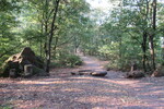 16.08.2020: grenzberschreitender Wanderweg nahe der Wengelsburg, Blickrichtung FR