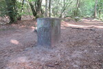 18.08.2020: Grenzstein nahe der Altschlossfelsen bei Eppenbrunn