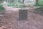 18.08.2020: Grenzstein nahe der Altschlossfelsen bei Eppenbrunn