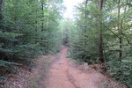 18.08.2020: Grenzstein nahe der Altschlossfelsen bei Eppenbrunn