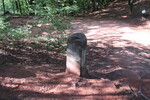 18.08.2020: Grenzstein nahe der Altschlossfelsen bei Eppenbrunn
