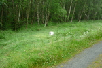03.07.2011: Grenzstein am Kammweg Erzgebirge – Vogtland zwischen Jhstadt und Khberg