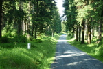 06.07.2011: am Kammweg Erzgebirge – Vogtland zwischen Carlsfeld und Mhlleithen