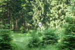 06.07.2011: am Kammweg Erzgebirge – Vogtland zwischen Carlsfeld und Mhlleithen