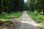 06.07.2011: am Kammweg Erzgebirge – Vogtland zwischen Carlsfeld und Mhlleithen