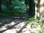 09.08.2007: Wanderweg entlang der Grenze mit mehreren Grenzsteinen